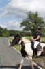 Abzeichen 07.08.2011