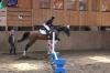 Abzeichen 07.08.2011